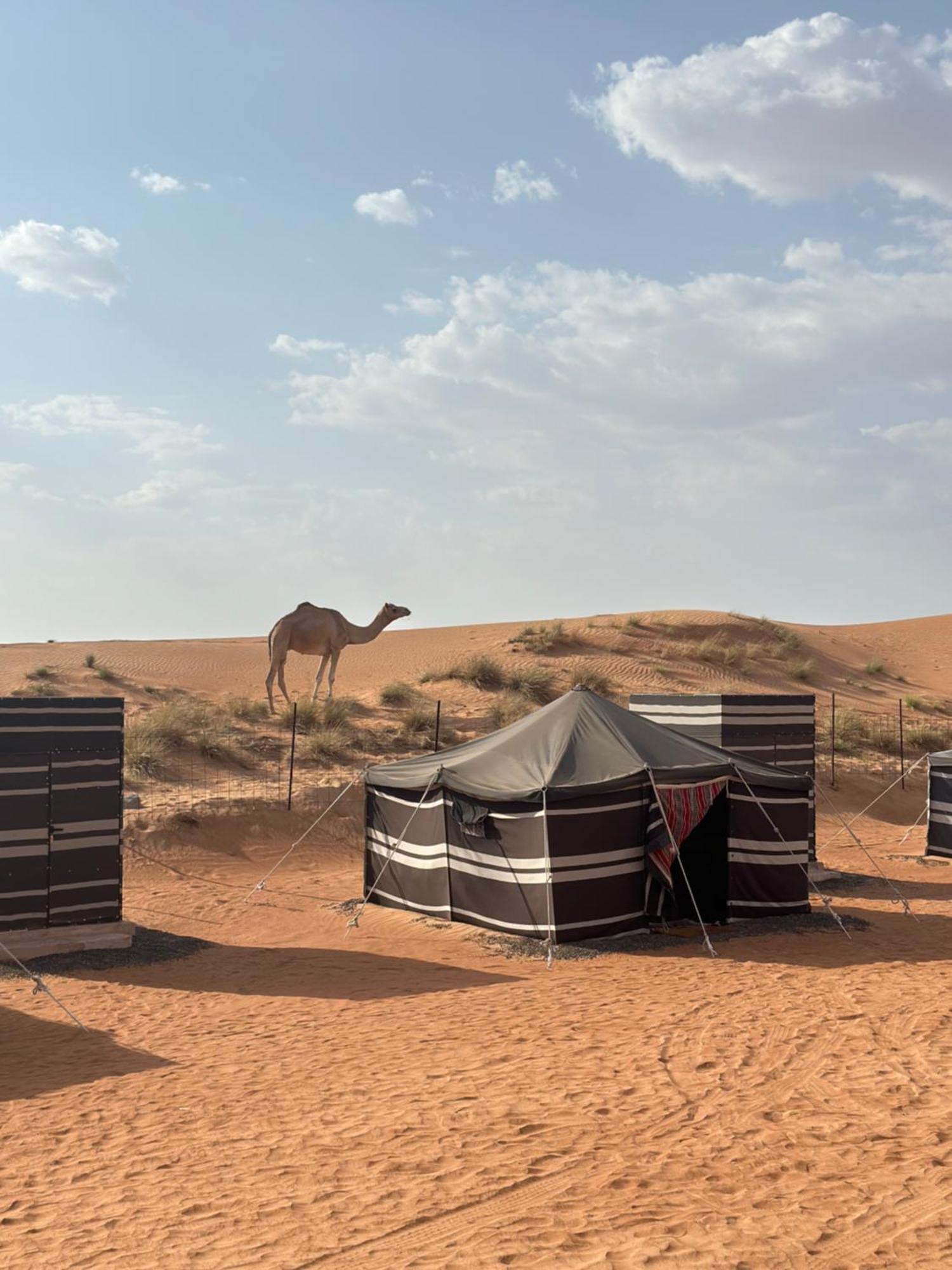 Authentic Desert Camp - Luxury tent *