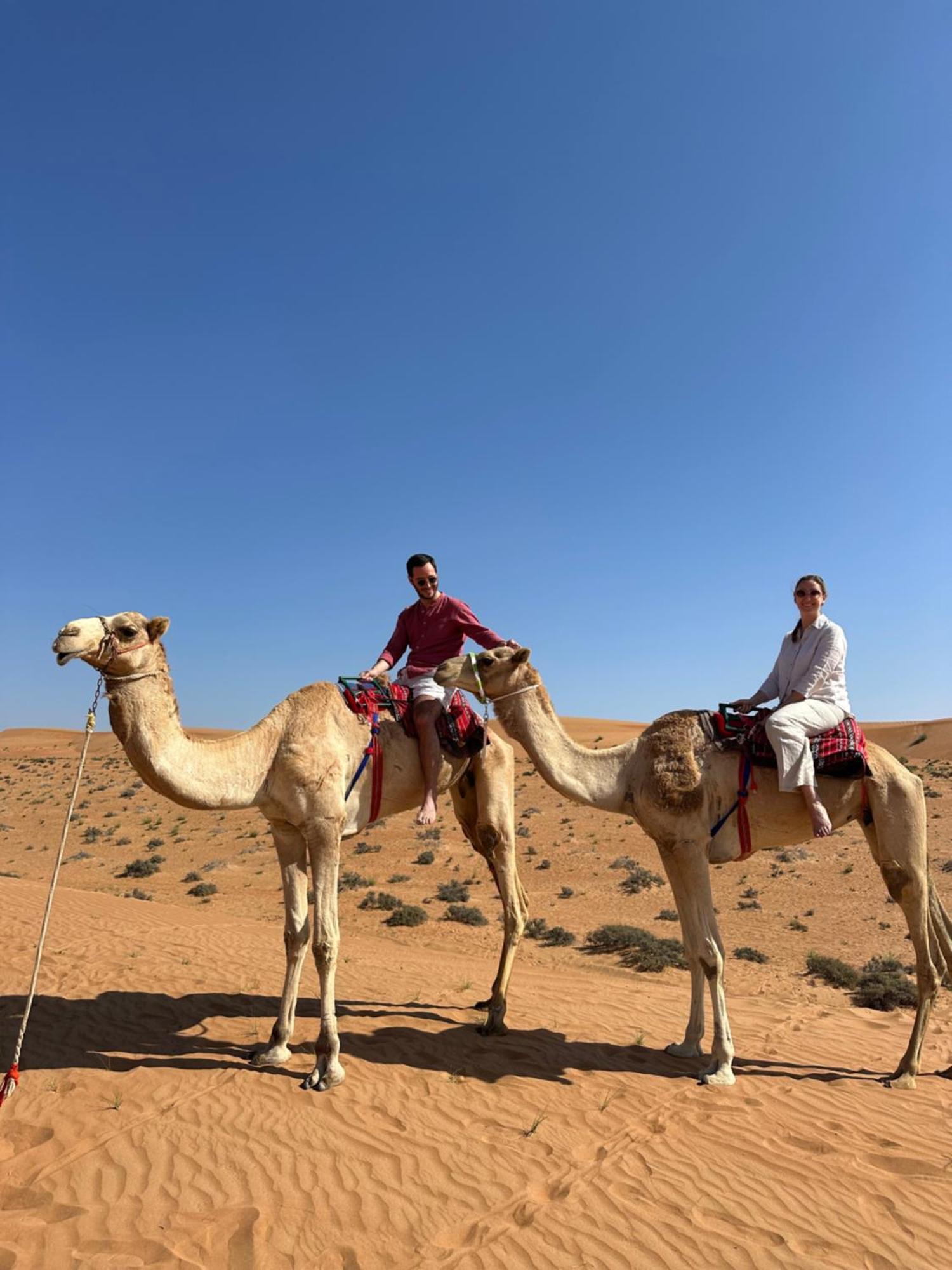Luxury tent Authentic Desert Camp - Al Wasil